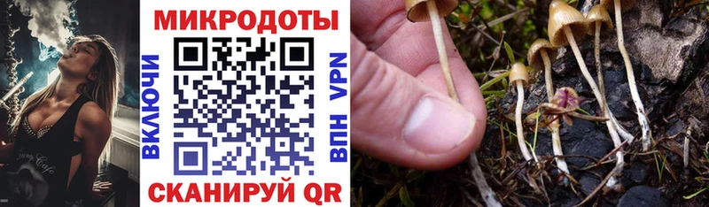 Галлюциногенные грибы Magic Shrooms Тверь