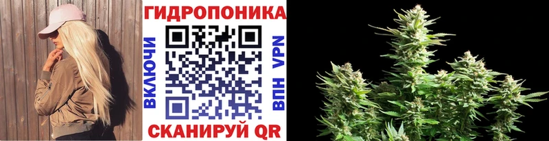 закладка  Тверь  Шишки марихуана индика 